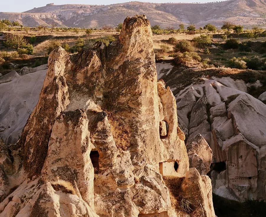 Millions of Years of Civilization